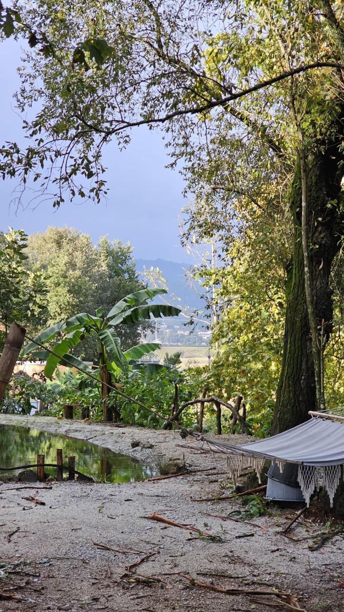 Hotel Quinta Miminel à Rabuide Extérieur photo